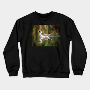 Juvenile seagull on water Crewneck Sweatshirt